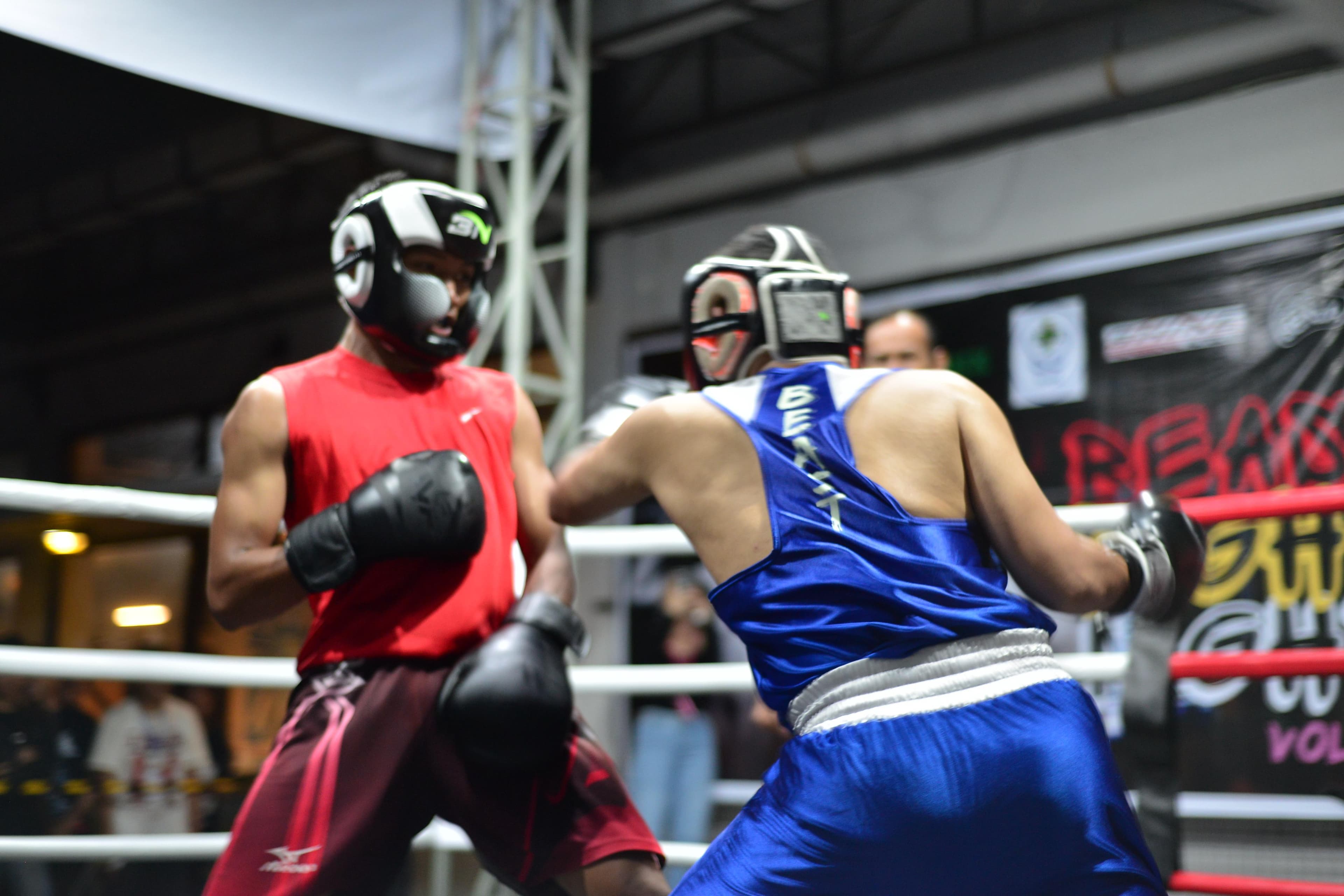 sparing beast fight night di beastfightid