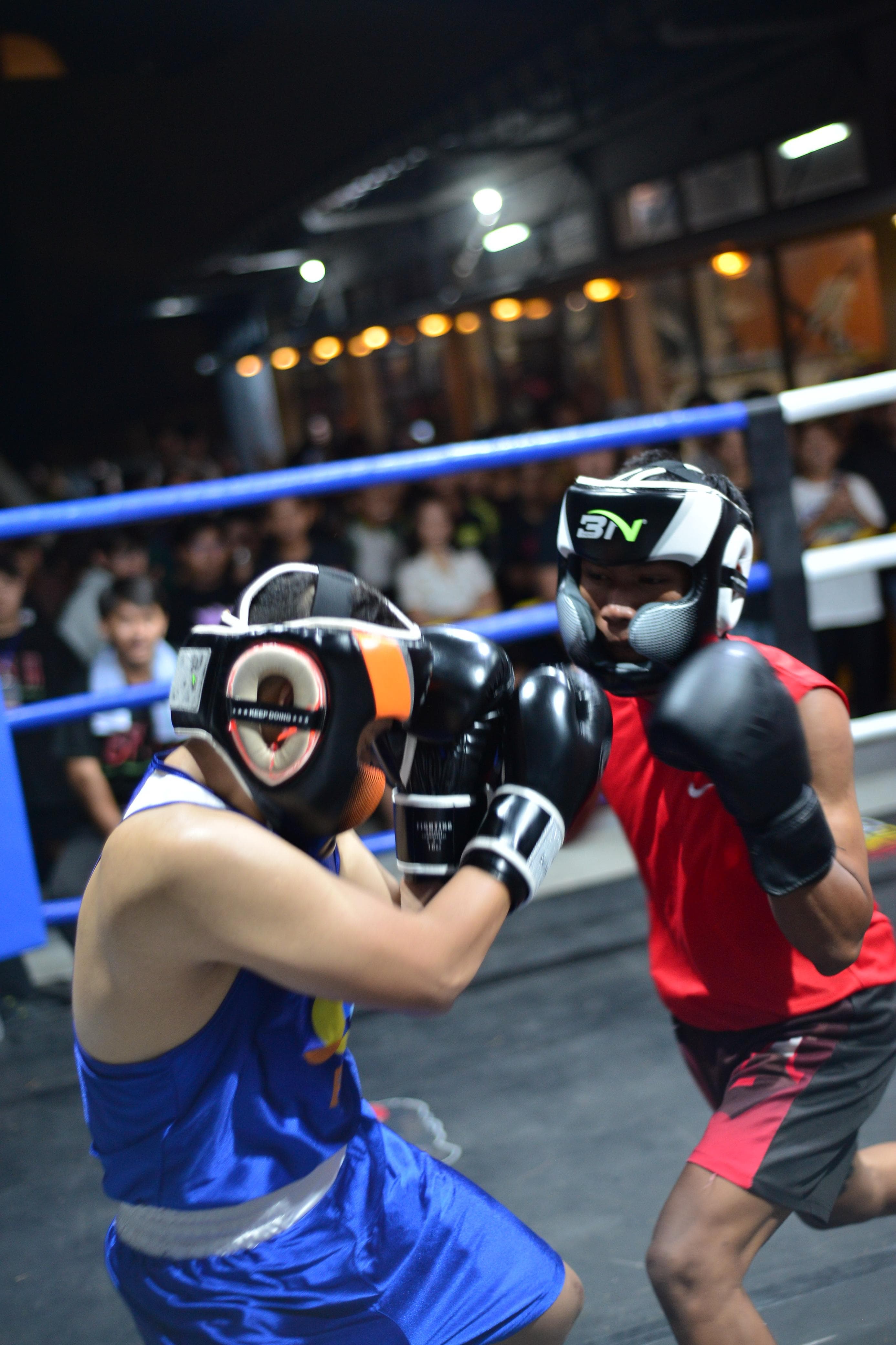 sparing beast fight night di beastfightid