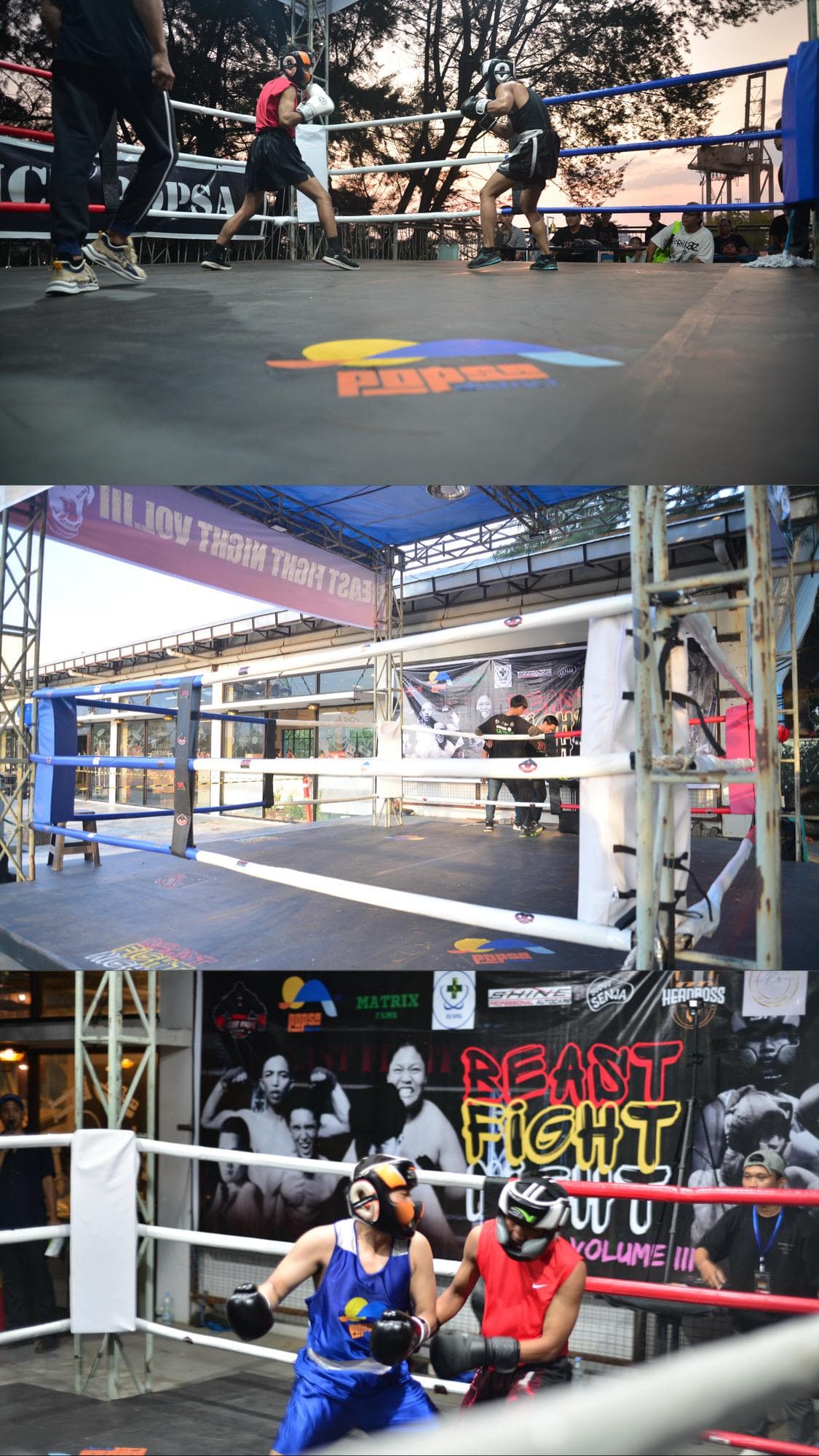 sparing beast fight night di beastfightid